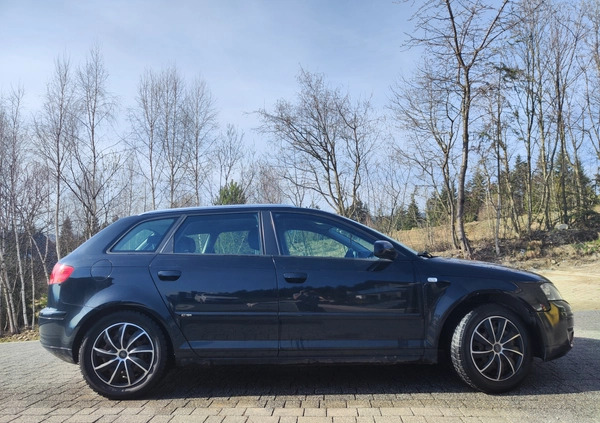 Audi A3 cena 12800 przebieg: 217000, rok produkcji 2007 z Proszowice małe 137